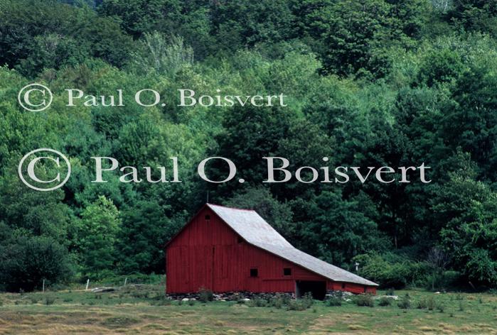 Farm-Summer 30-35-00001