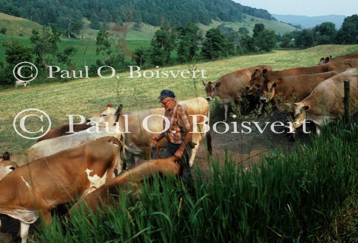 Farm-Summer 30-35-00121