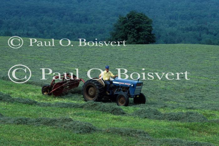 Farm-Summer 30-35-00141