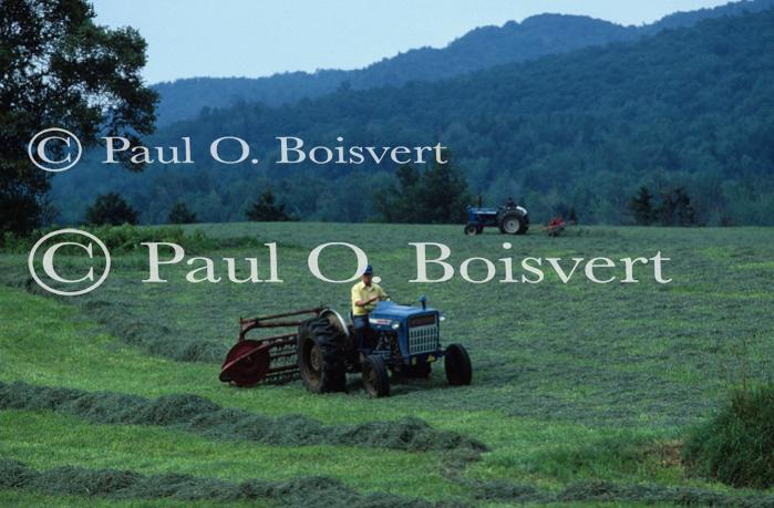 Farm-Summer 30-35-00152