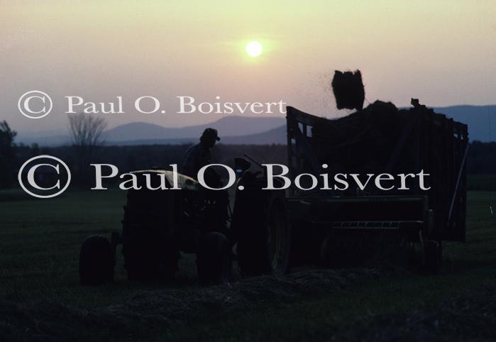 Farm-Summer 30-35-00168