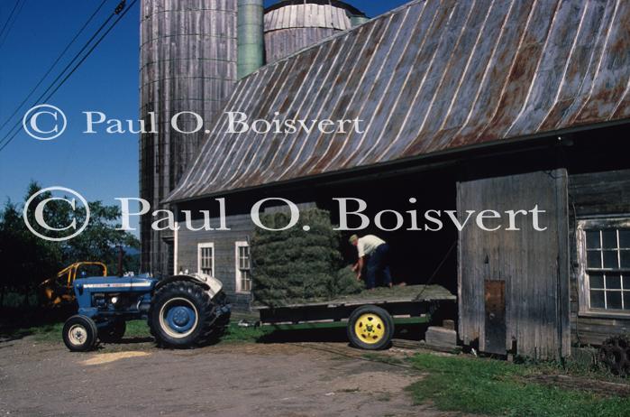 Farm-Summer 30-35-00191