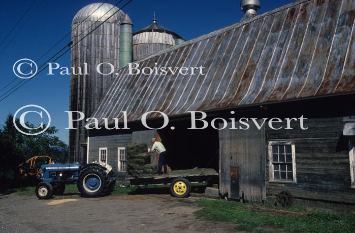 Farm-Summer 30-35-00195