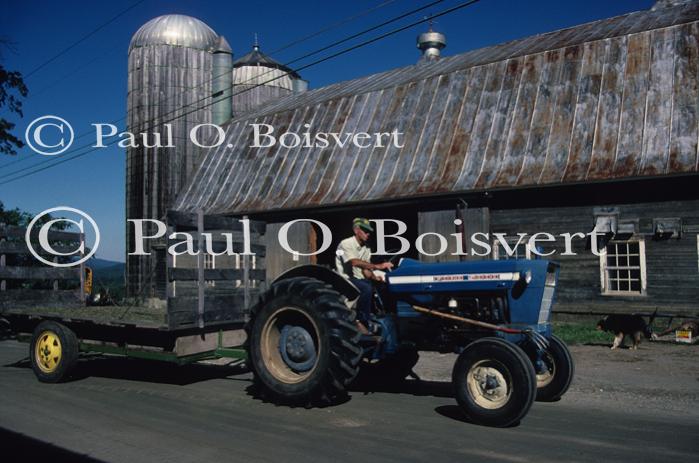 Farm-Summer 30-35-00208