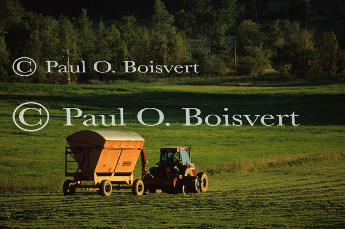 Farm-Summer 30-35-00226