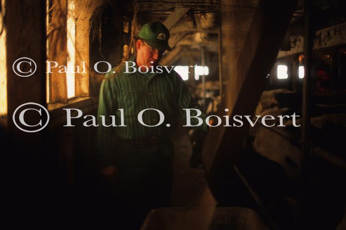 Farm-Summer 30-35-00229