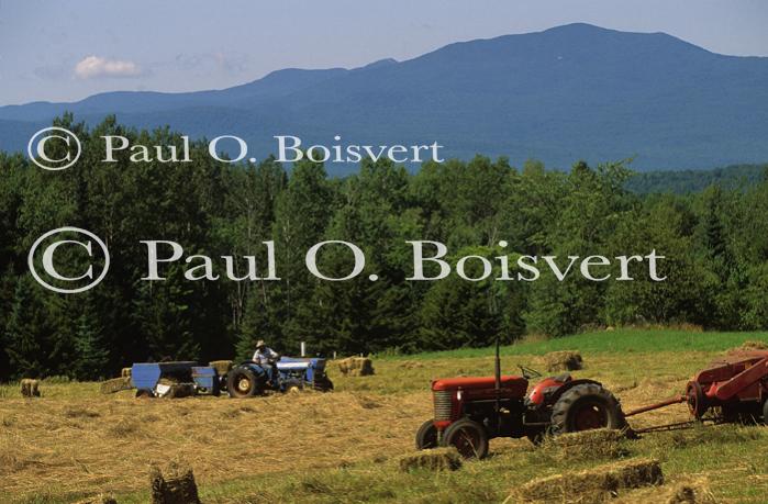 Farm-Summer 30-35-00234