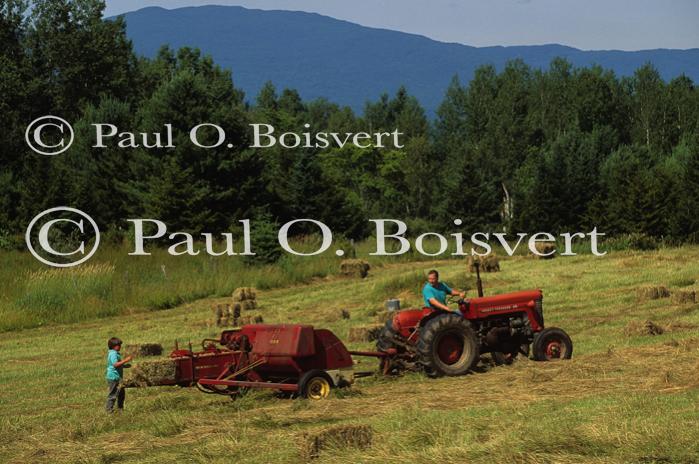 Farm-Summer 30-35-00285