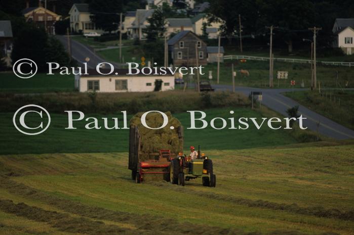 Farm-Summer 30-35-00298