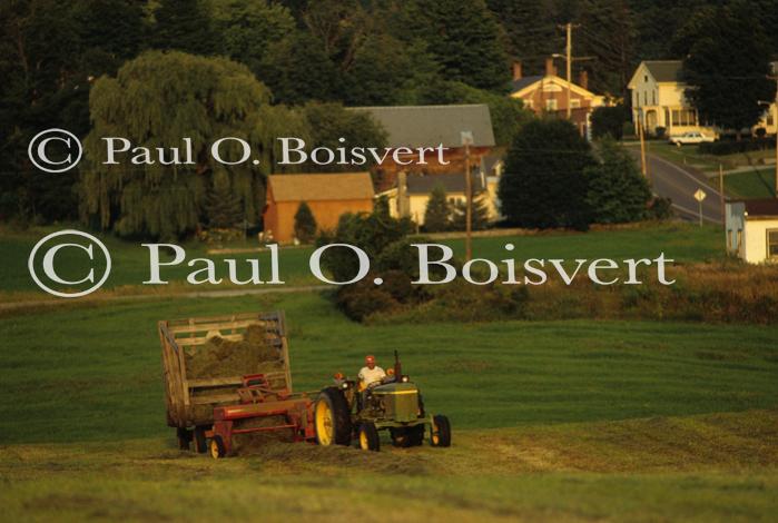 Farm-Summer 30-35-00314