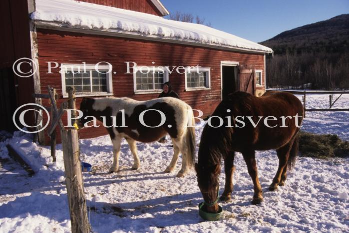 People-Winter 60-24-01125