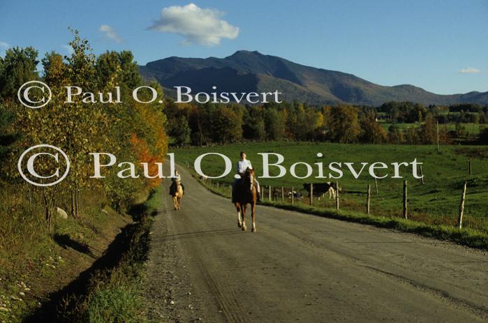 Sports-Horseback 75-30-00432