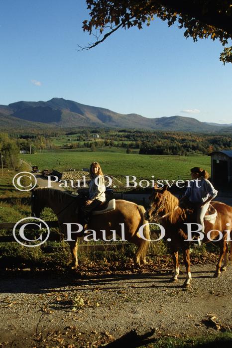 Sports-Horseback 75-30-00447