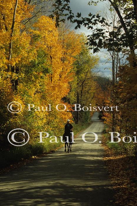 Sports-Horseback 75-30-00467