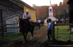 Sports-Horseback 75-30-00524