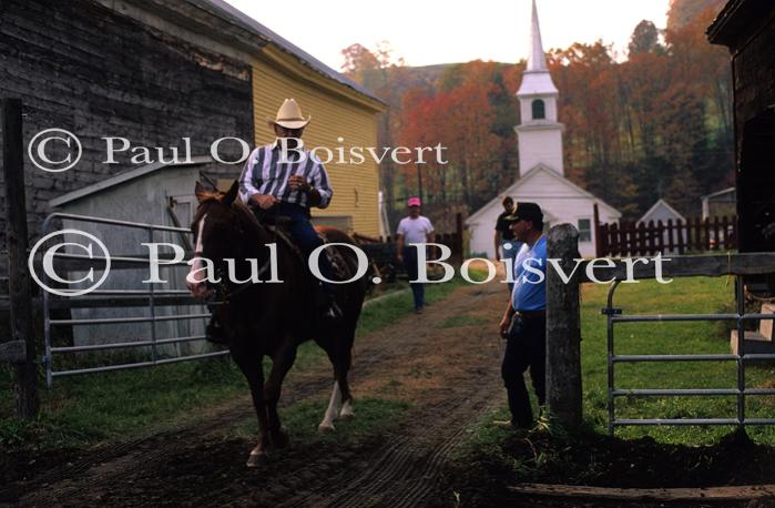 Sports-Horseback 75-30-00524