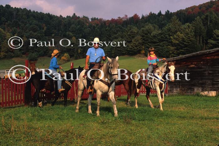 Sports-Horseback 75-30-00527