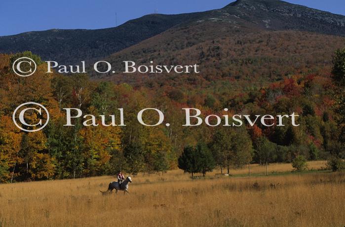 Sports-Horseback 75-30-00547