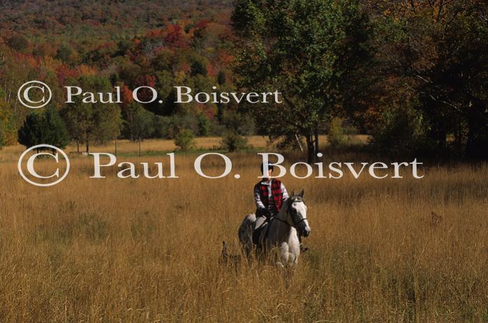 Sports-Horseback 75-30-00554