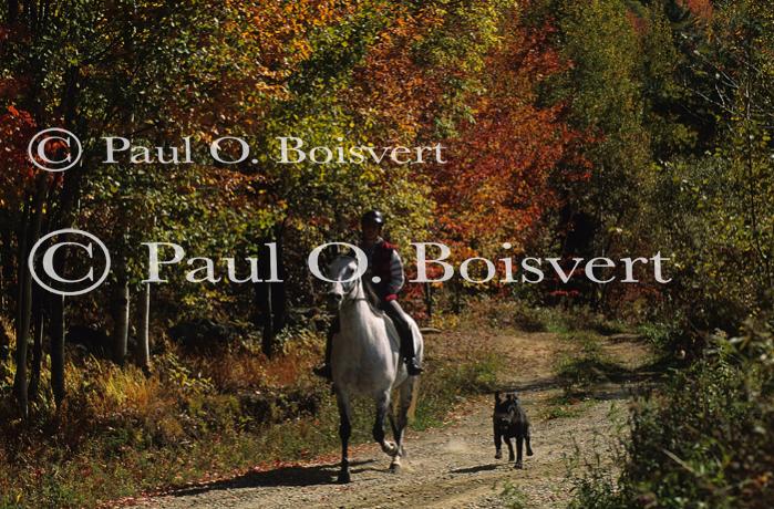 Sports-Horseback 75-30-00559