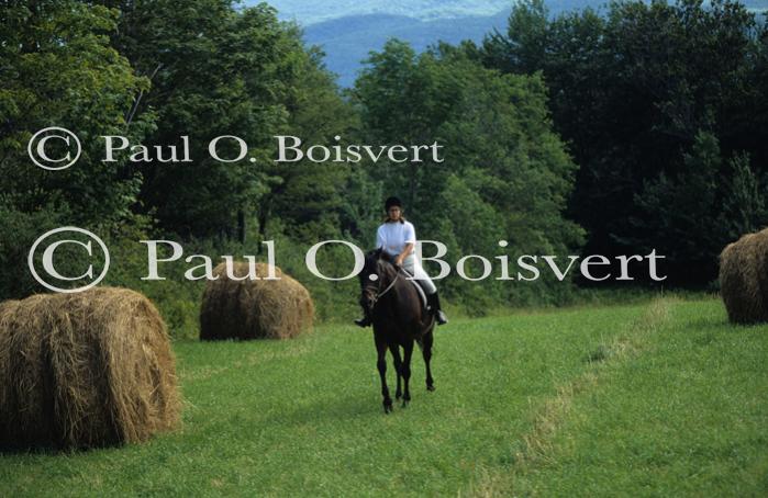 Sports-Horseback 75-30-00578