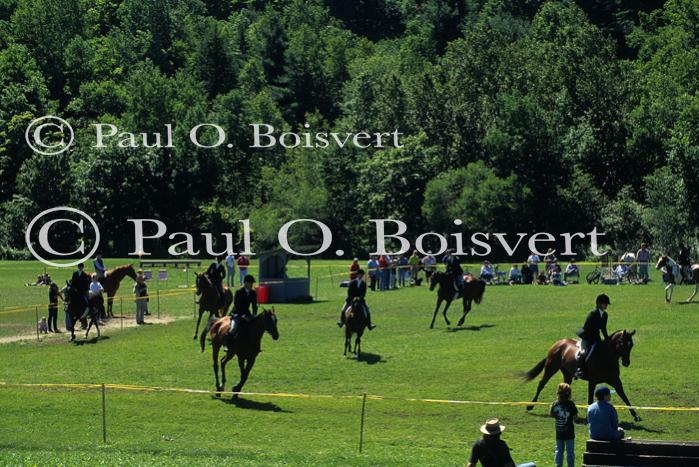 Sports-Horseback 75-30-00619