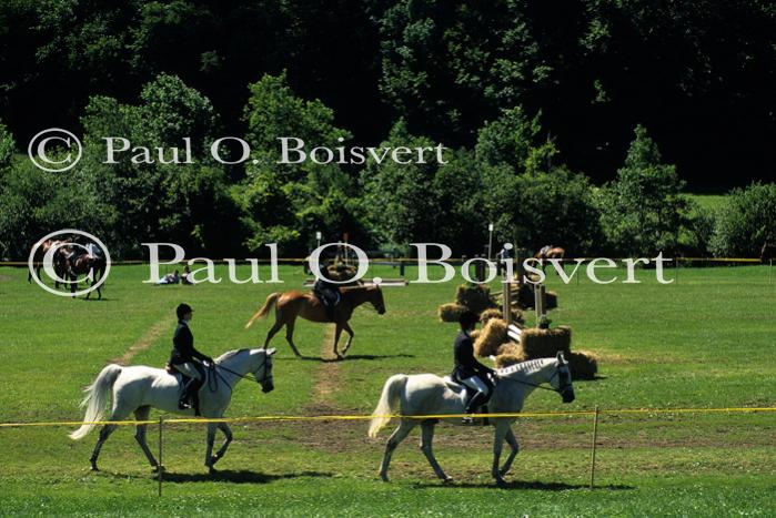 Sports-Horseback 75-30-00621