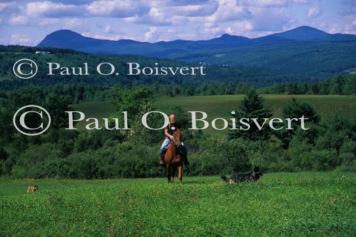 Sports-Horseback 75-30-00630