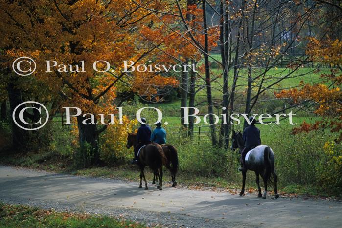 Sports-Horseback 75-30-00659