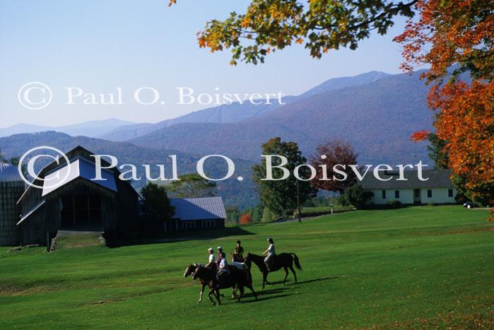 Sports-Horseback 75-30-00724