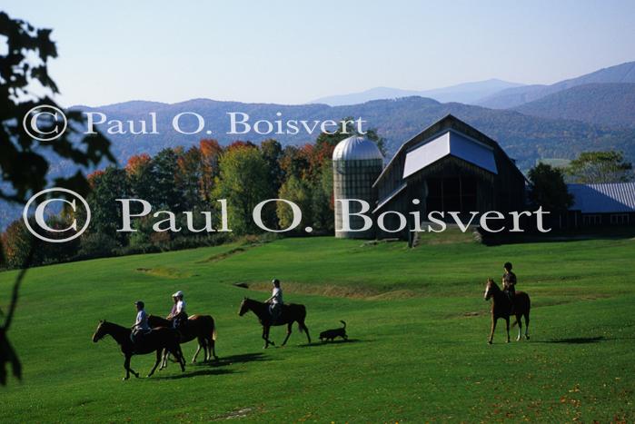 Sports-Horseback 75-30-00731