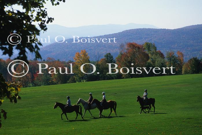 Sports-Horseback 75-30-00735