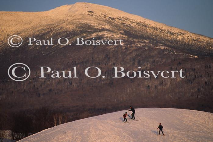 Sports-Sled 75-50-00302