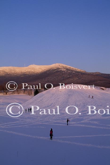 Sports-Sled 75-50-00316