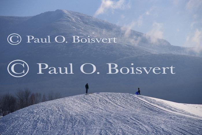 Sports-Sled 75-50-00415