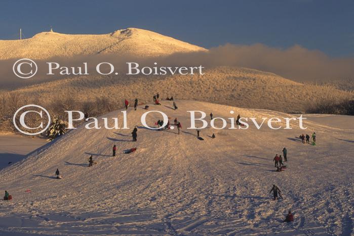 Sports-Sled 75-50-00465