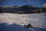 Sports-Sled 75-50-00506
