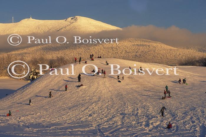 Sports-Sled 75-50-00521