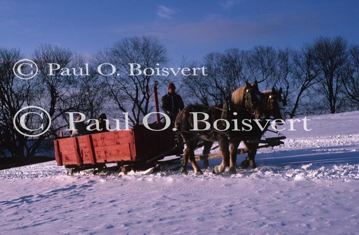 Sports-Sleighride 75-56-00246