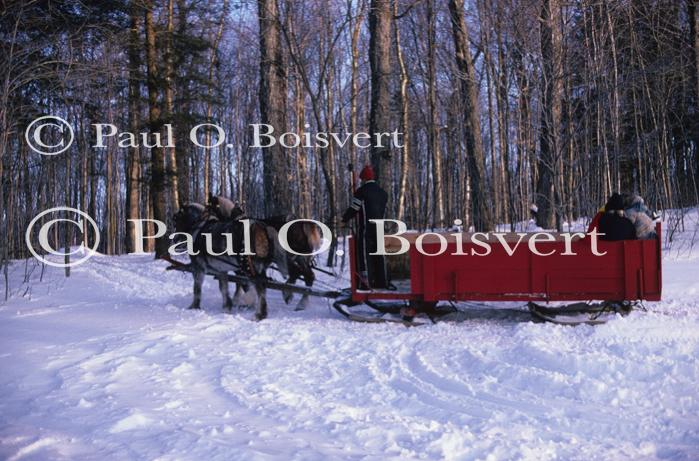 Sports-Sleighride 75-56-00257