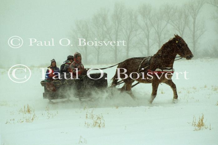 Sports-Sleighride 75-56-00378