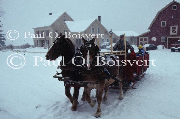 Sports-Sleighride 75-56-00716