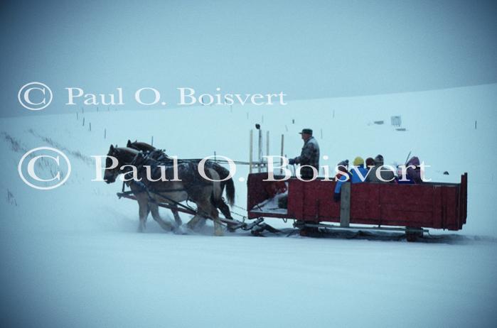 Sports-Sleighride 75-56-00723