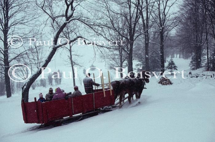 Sports-Sleighride 75-56-00744