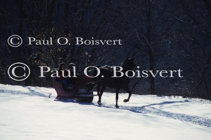 Sports-Sleighride 75-56-00954