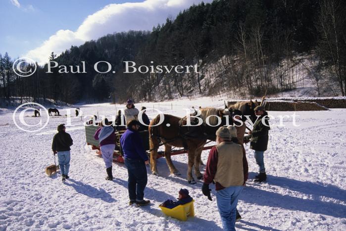 Sports-Sleighride 75-56-01060