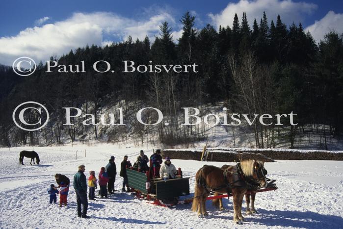 Sports-Sleighride 75-56-01091