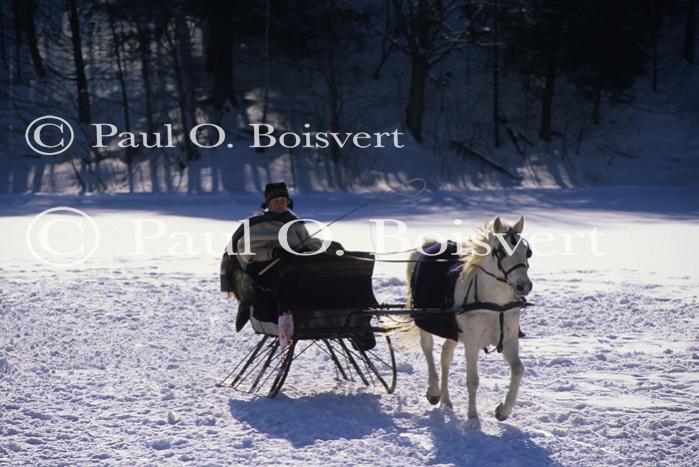 Sports-Sleighride 75-56-01104