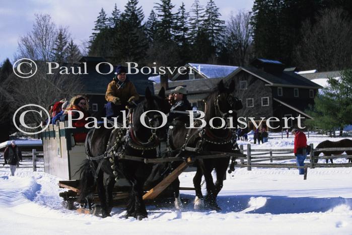 Sports-Sleighride 75-56-01205