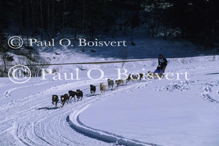 Sports-Dogsled 75-22-00111